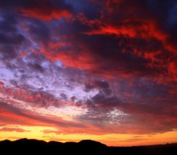 arizona, sunset, monsoon